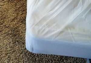 Bed bug prevention with Active Guard liners.