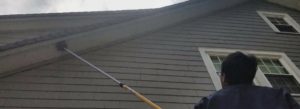 Spider web removal in Cleveland, OH.