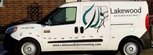 Home Pest Control Services- Lakewood Exterminating in Cleveland, OH