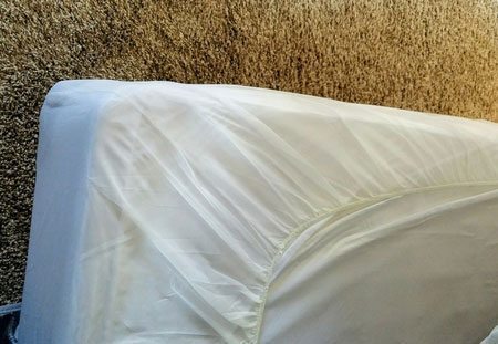 Bed Bug Secrets mattress covers.
