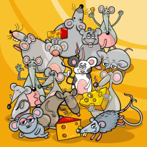 Picture of a grouping of mice. Representing how many mice are in a house.
