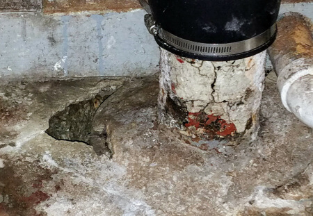 Rats come up through dry drain traps and broken drains.
